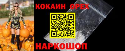 гидропоника Гусев