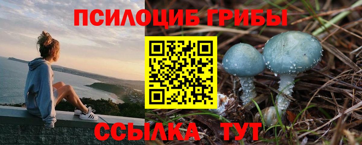 Галлюциногенные грибы MAGIC MUSHROOMS  Вход с VPN  Михайловка  Псилоцибиновые грибы GOLDEN TEACHER 