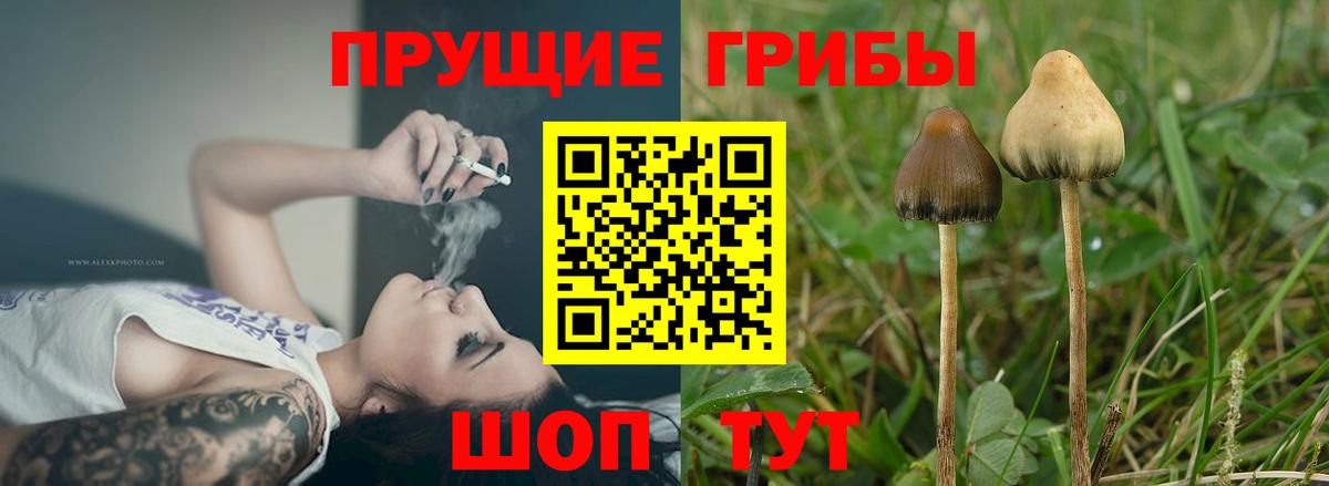Галлюциногенные грибы MAGIC MUSHROOMS Михайловка